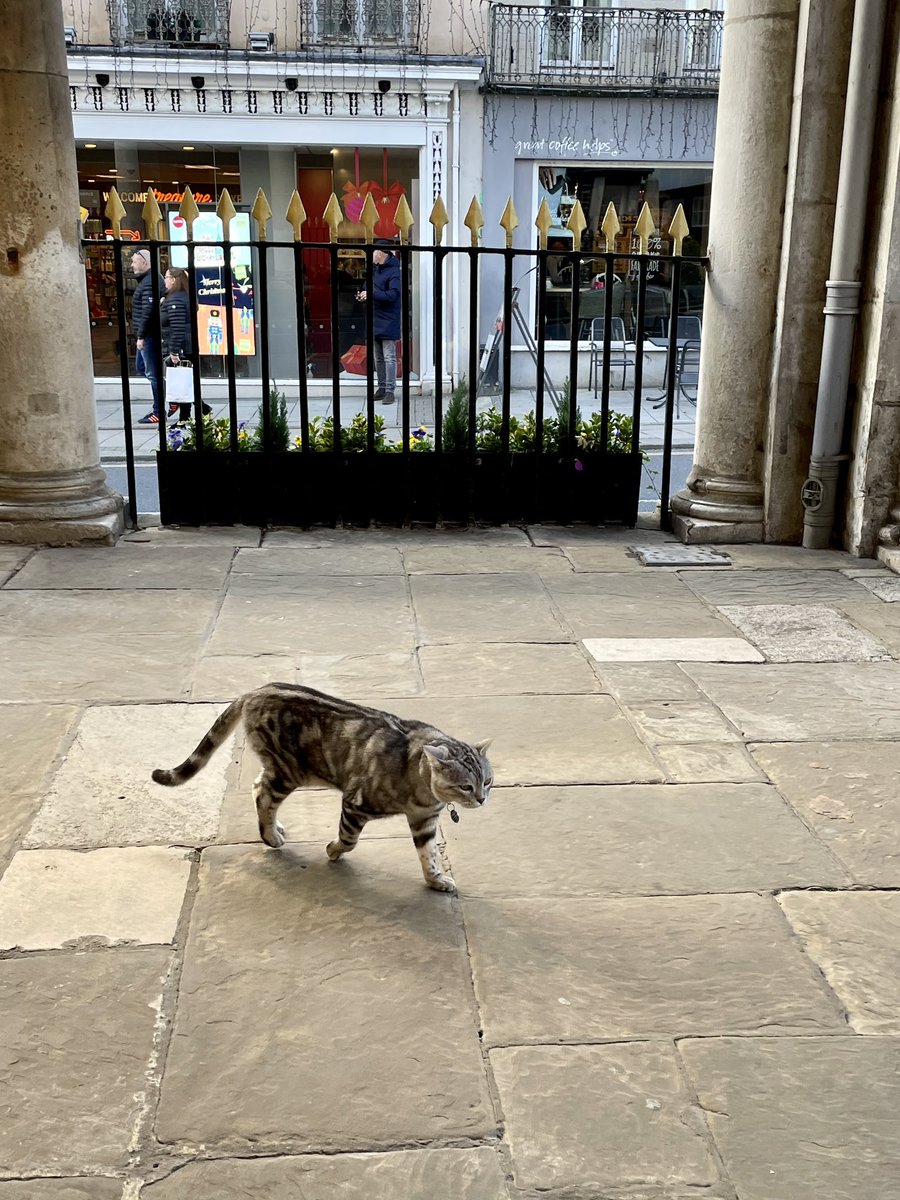 <a href="/DexterWindsor/">DEXTER</a>  we loved having you look around the museum to soak up the local heritage 🐈 
#DexterSpot #CulturedCat