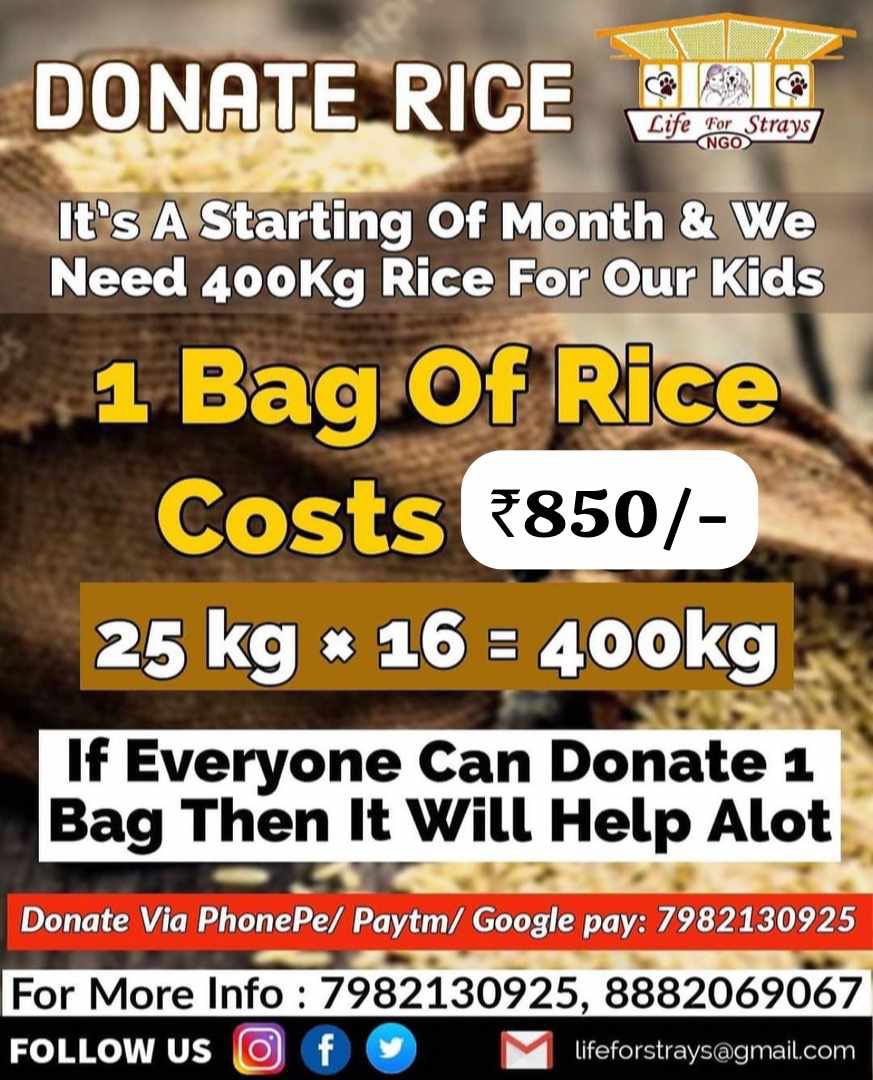 life_strays's tweet photo. Gpay/paytm- 7982130925
@zeenews
@sood_chris
@peta
@petaindia 
@joedelhi
@anubhavmohanty_
@singhiskingh39
@ambikashukla15
@locaterobinplus
@dogitization
@tarana2510
@gauri_maulekhi
@tripathimandal
@animalcrossing https://t.co/3EauymUELq