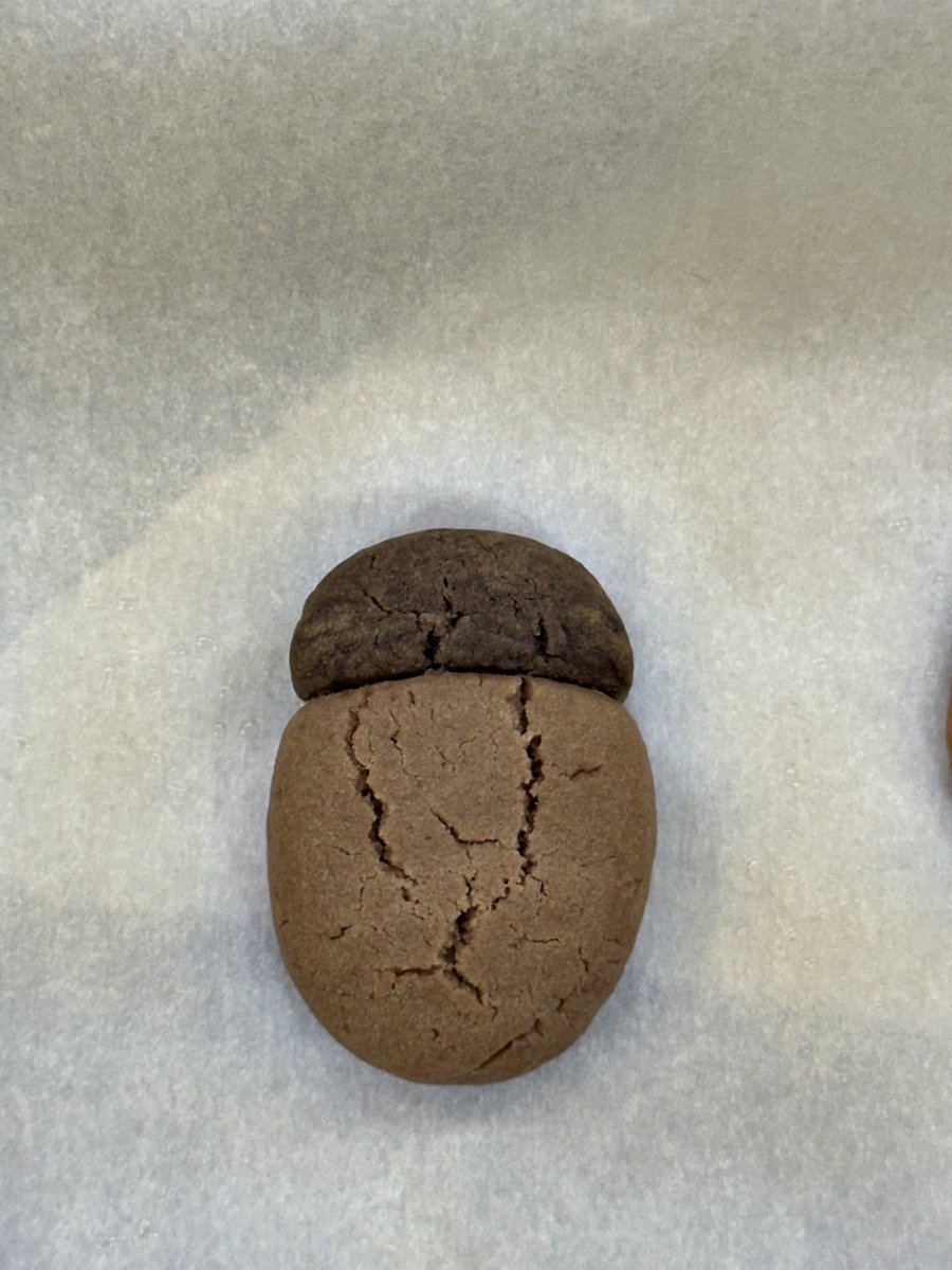 WE_THE_BOYZ's tweet image. 