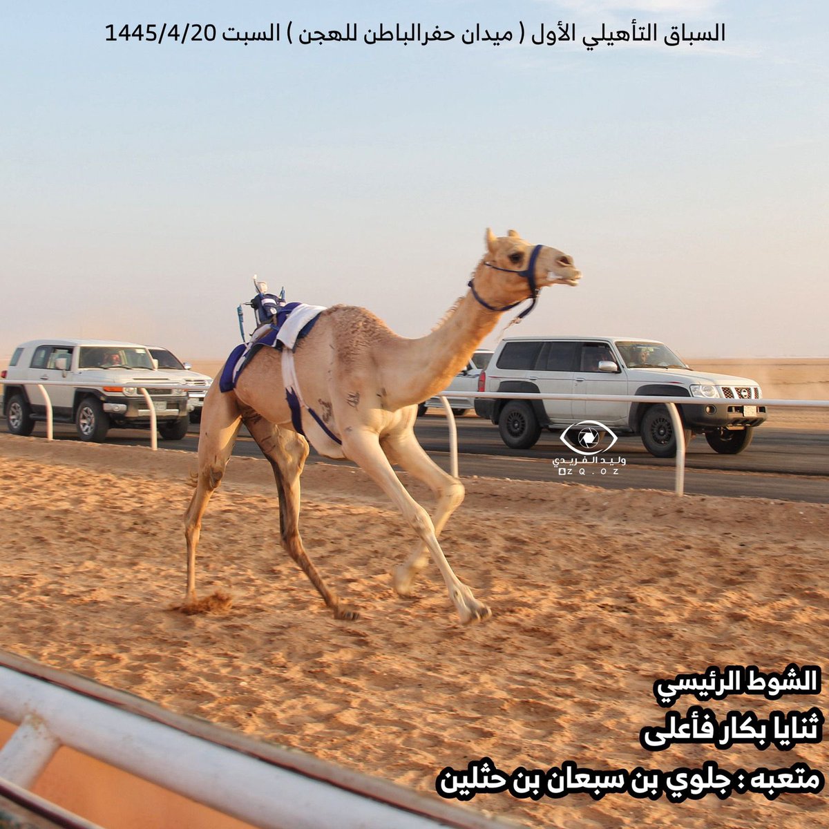 السباق التأهيلي الأول بميدان حفرالباطن للهجن
2023/11/04

الشوط الرئيسي ثنايا بكار فاعلى 
متعبه ل جلوي بن سبعان بن حثلين 
youtu.be/OeFoe_Pbyzo