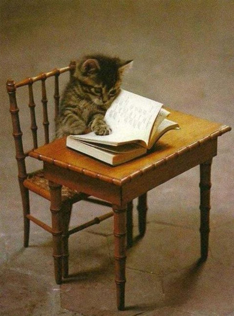 seriously studious