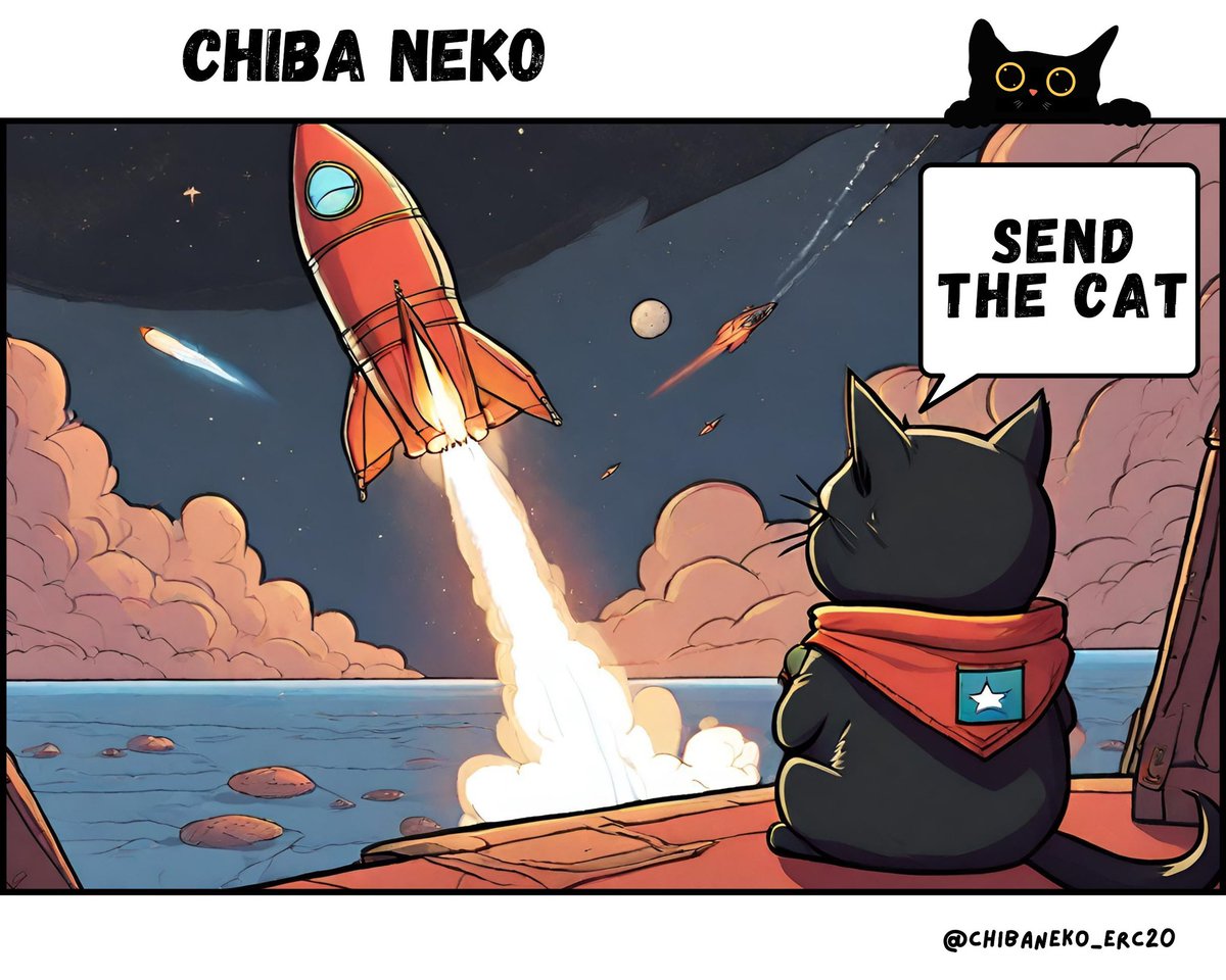 SamSushy's tweet photo. @LilMoonLambo @FachitoH It's time to grab the best bags and be prepared for what's coming, $CHIBA @ChibaNeko_erc20 https://t.co/16nSXS2Cio