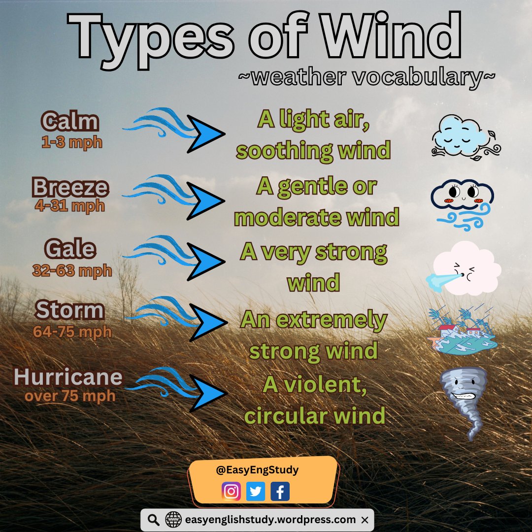 EasyEngStudy's tweet photo. Web: https://t.co/DvBqkTyLCR

#english #englishcourse
#englishspeaking #englishtips #englishstudy #englishtutor #learningenglish #learnenglish #englishclasses #toefl #grammar #vocabulary #ingles #영어 #英語 #английский #communicationskills #englishvocabulary #englishlearning https://t.co/lKAccuk9ic