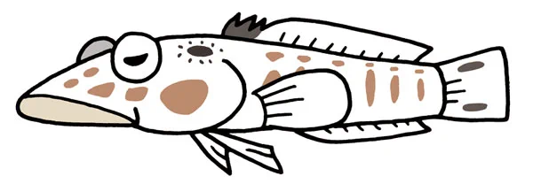 タイガース日本一に乗っかってトラ関係の生き物を貼る。 