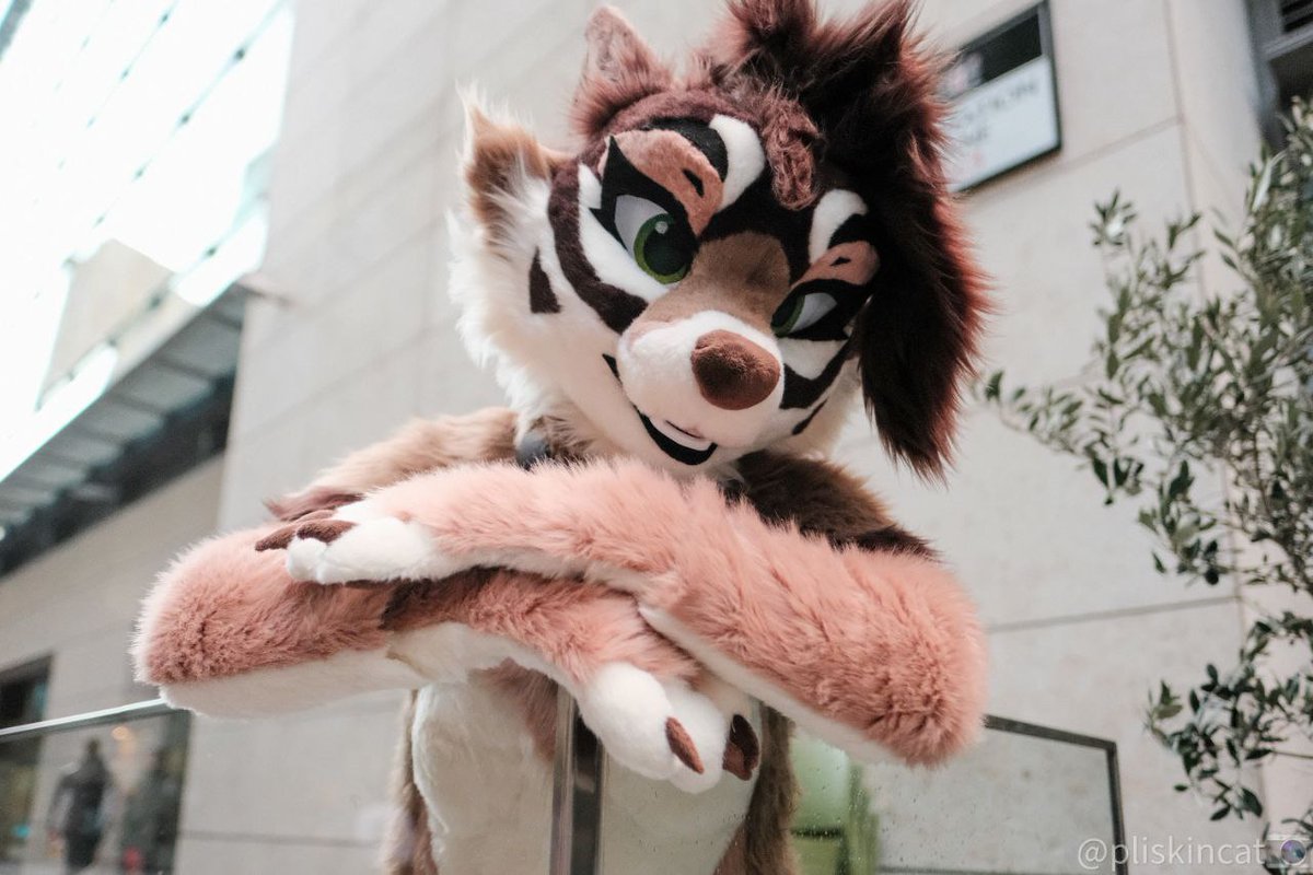 Amelia × Tomboy Wolf tweet media