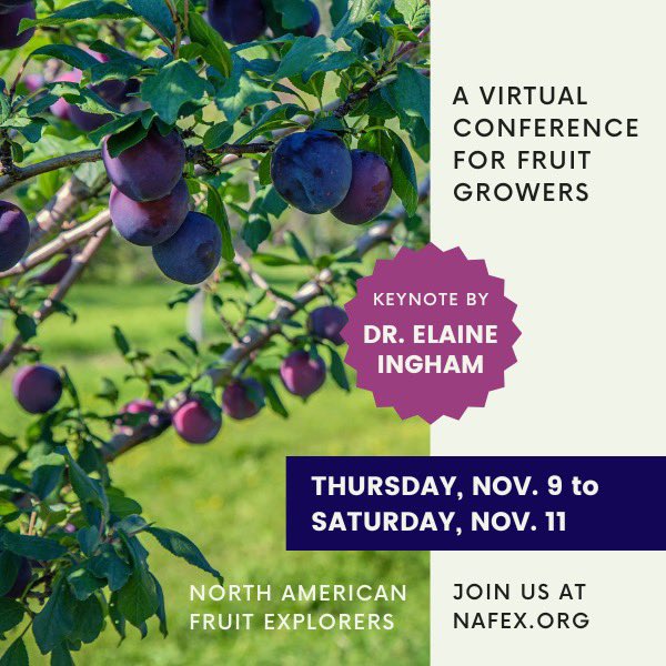 explorefruits's tweet photo. Still time to sign up for the North American Fruit Explorers 2023 Virtual Conference for fruit growers of all experience levels. 8 sessions over 3 days. Join today for $19 at https://t.co/800upALteu https://t.co/ptw5soIZP3