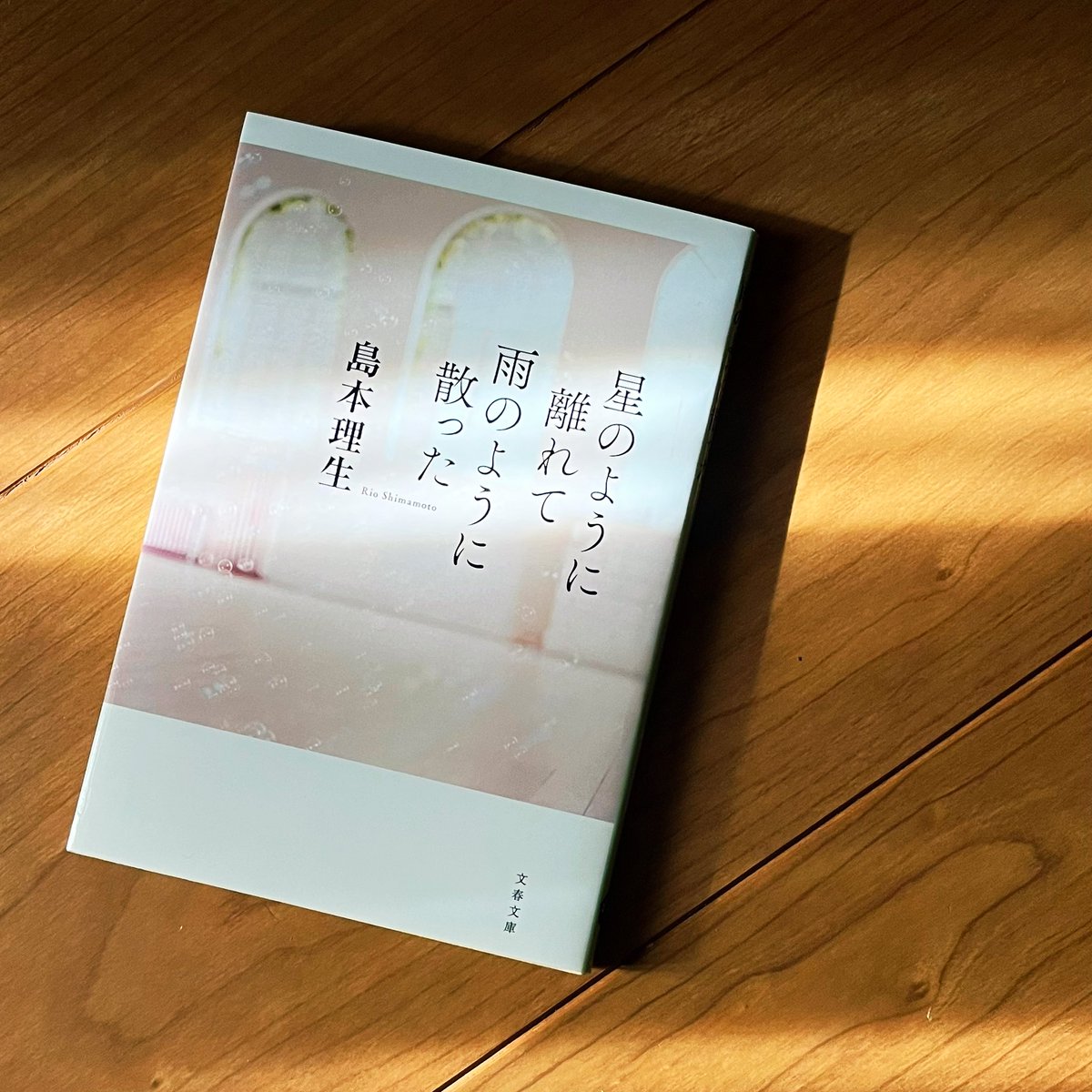 hirok0821's tweet photo. #次に読む本
#星のように離れて雨のように散った
#島本理生
宮沢賢治に惹かれて。 https://t.co/zIRe7KPc1X