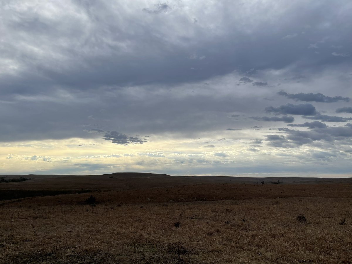 Found a gem of a course with an old college friend this weekend, laid out in the Flint Hills, field of dreams style. Waubunsee Pines was a fun time!
