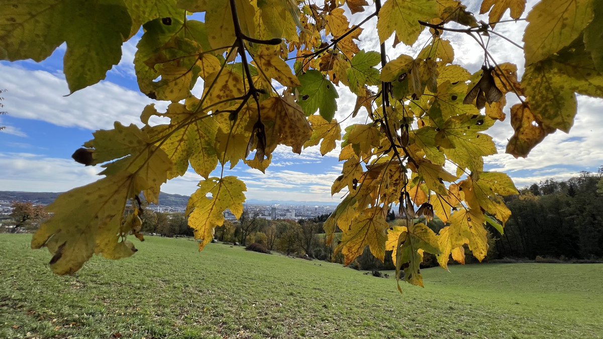 IkaKarl's tweet photo. #schoeneslinz am Sonntagvormittag #linz #poestlingberg https://t.co/FsbqFO2vvI