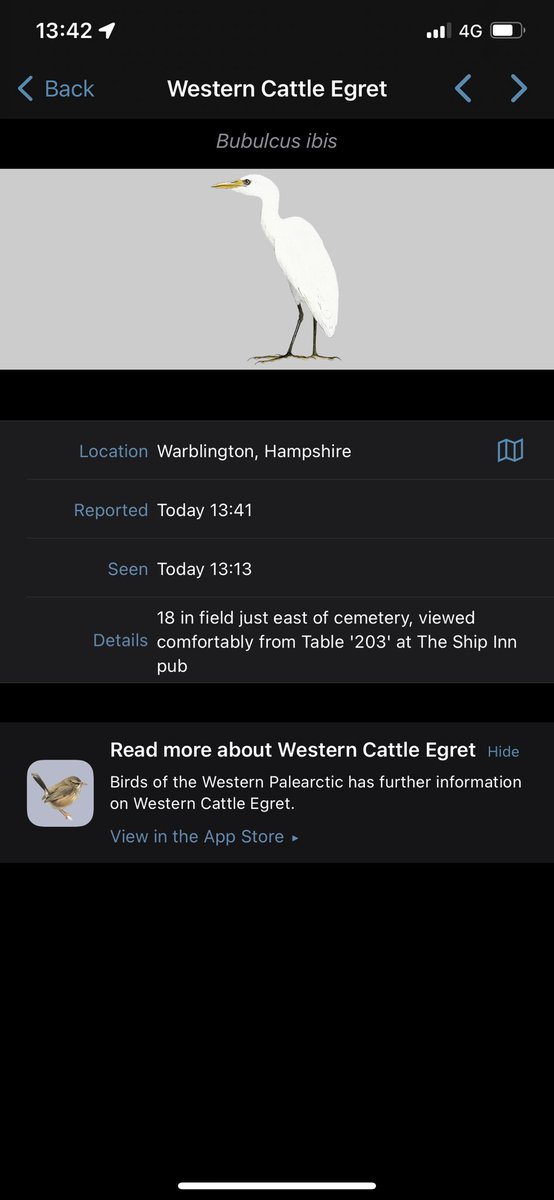 Matt Eade tweet media