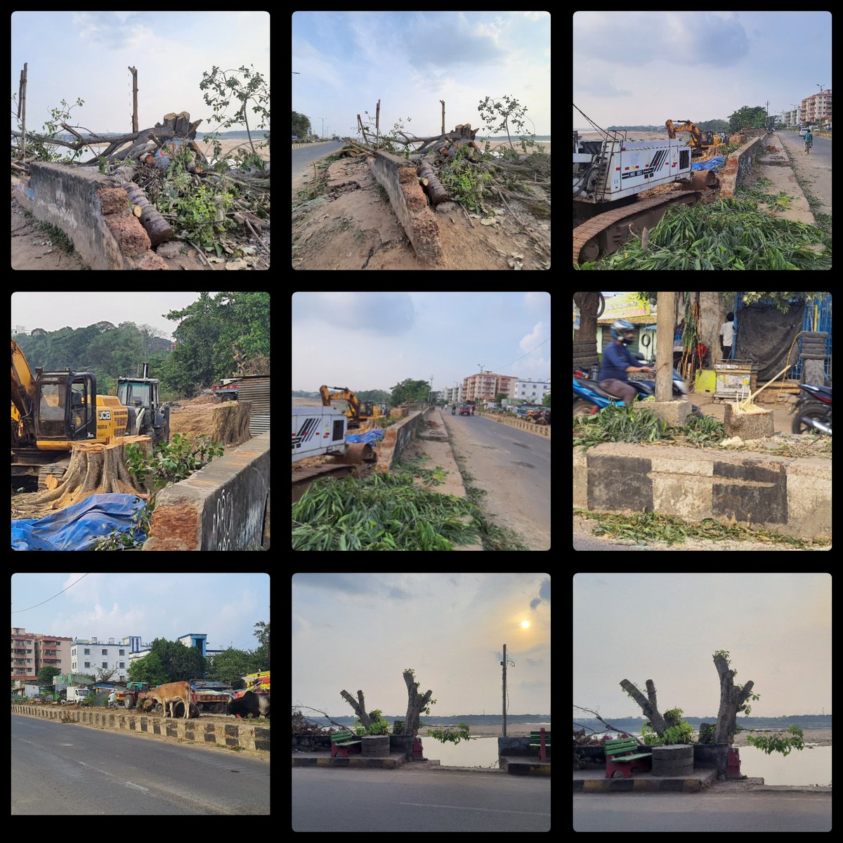 SAvilash2's tweet photo. Two Pictures. The Development You See.❤️ The Disaster You Don't. 💔 It's Heart Breaking To See Those Old Trees Been Cut Down In The Name Of Development. 😒 #stopcuttingtrees #silvercitycuttack @CMCCuttack @MoSarkar5T @TeamSilverCity https://t.co/zIqbYALiHQ