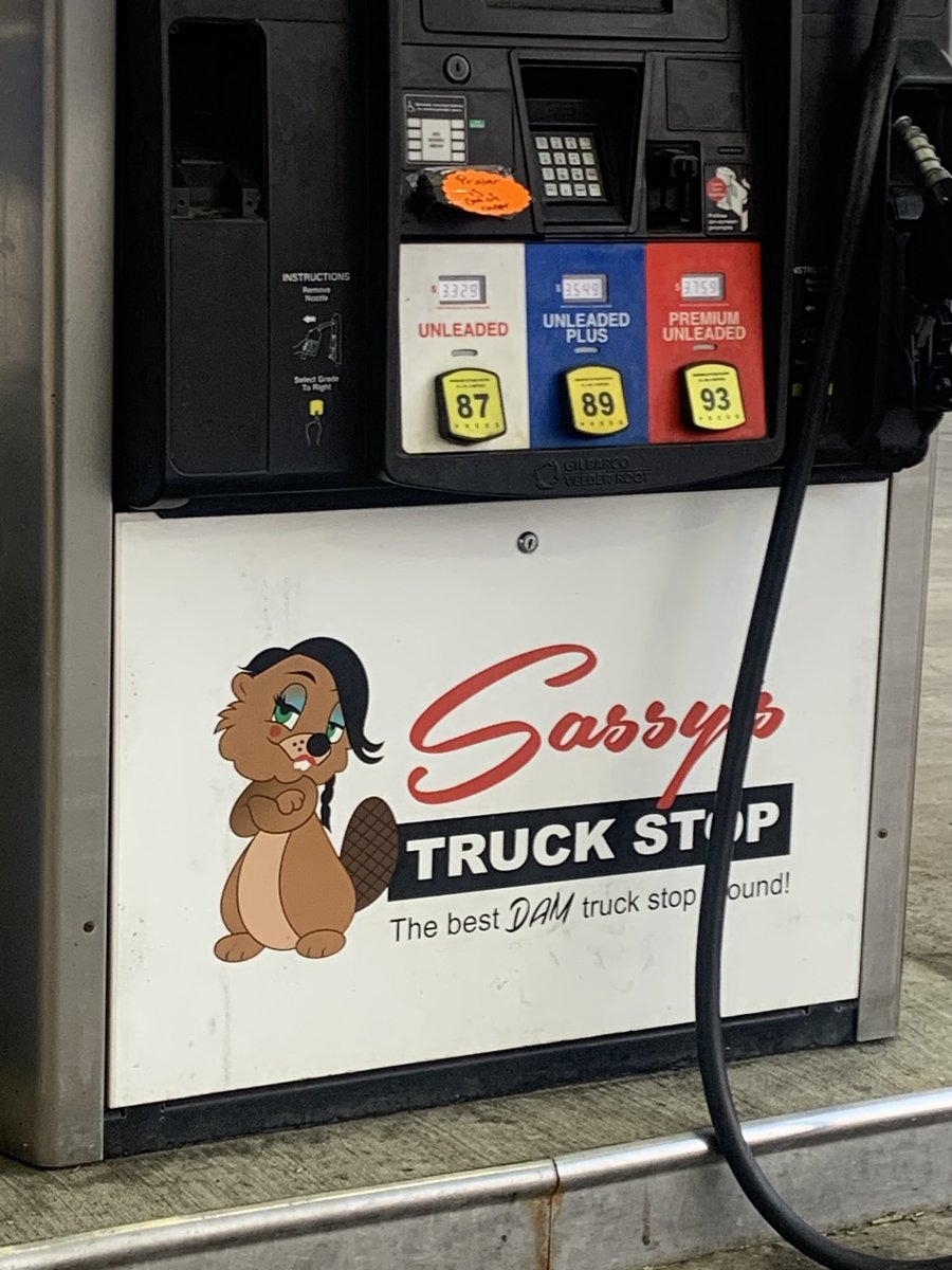 NATLPARKSRVC's tweet photo. you better not be a cunty truck stop beaver mascot when i get there

my unruly ass: https://t.co/8rqSpg1wsq