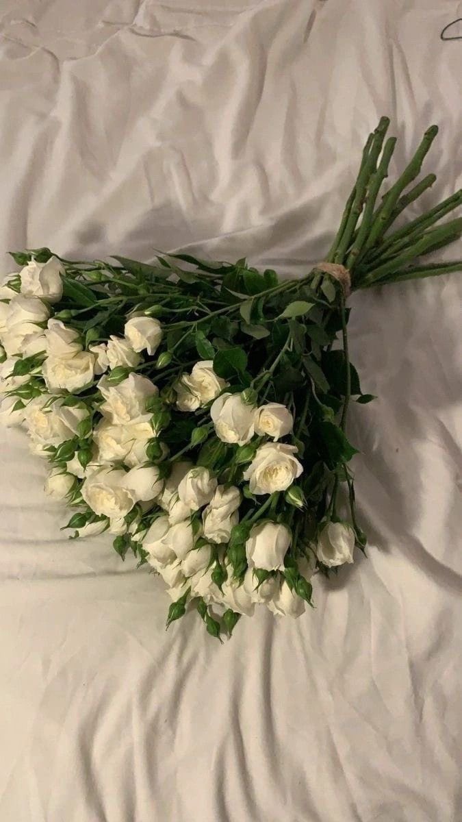 i3Moment's tweet photo. White🤍 https://t.co/xGvRc7xbEE