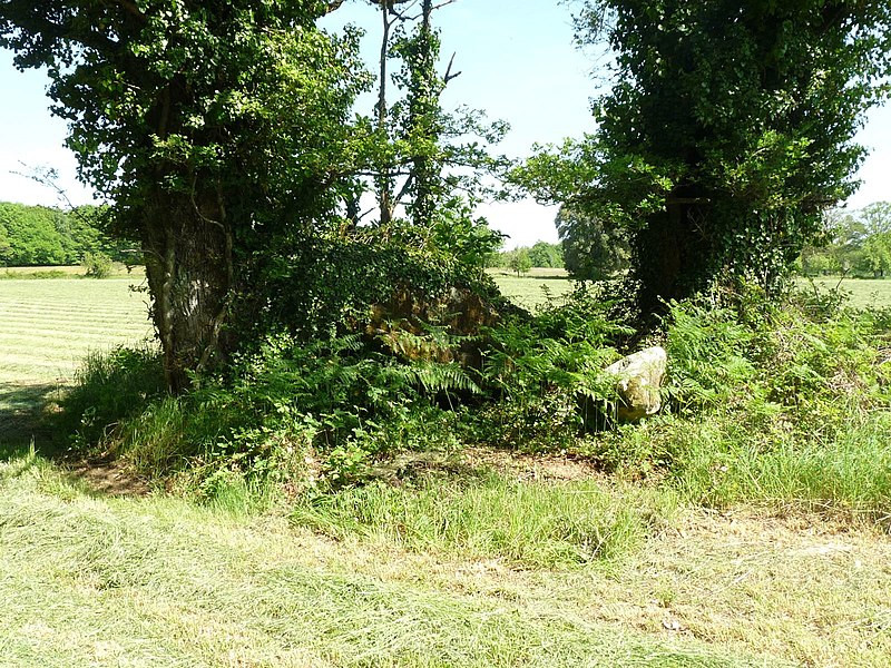 MonumentumFr's tweet photo. Dolmen de Tauzat à #Massignac (#Charente) Construction Néolithique. Dolmen de Tauzat : classement par arrêté du 18 septembre 1929.
Suite 👉 https://t.co/I6lV7gz16c
#Patrimoine #MonumentHistorique https://t.co/lEgsGRb9KF