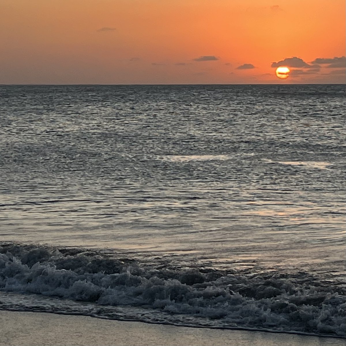 Coucher de soleil Brésilien 🇧🇷