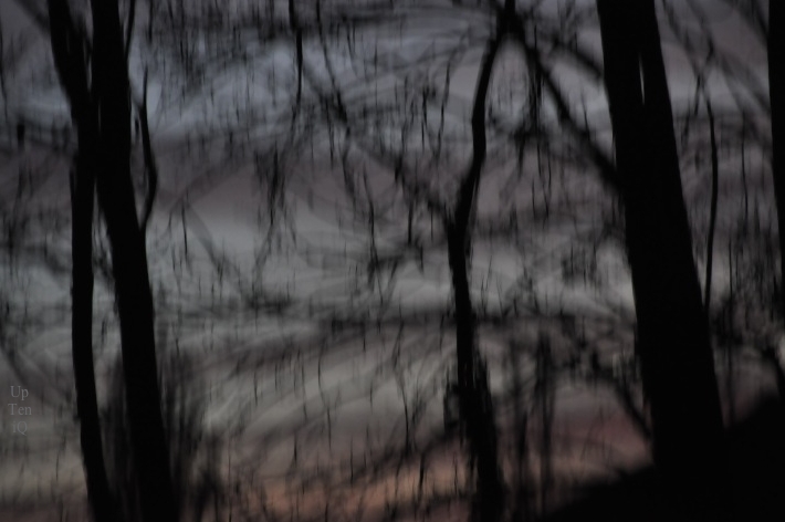 #Up_Ten_iQ ☞ #Malvue
#trois_troupeaux #Dét_du_Tab
sooforme4.tumblr.com/post/732979119…

petit bois