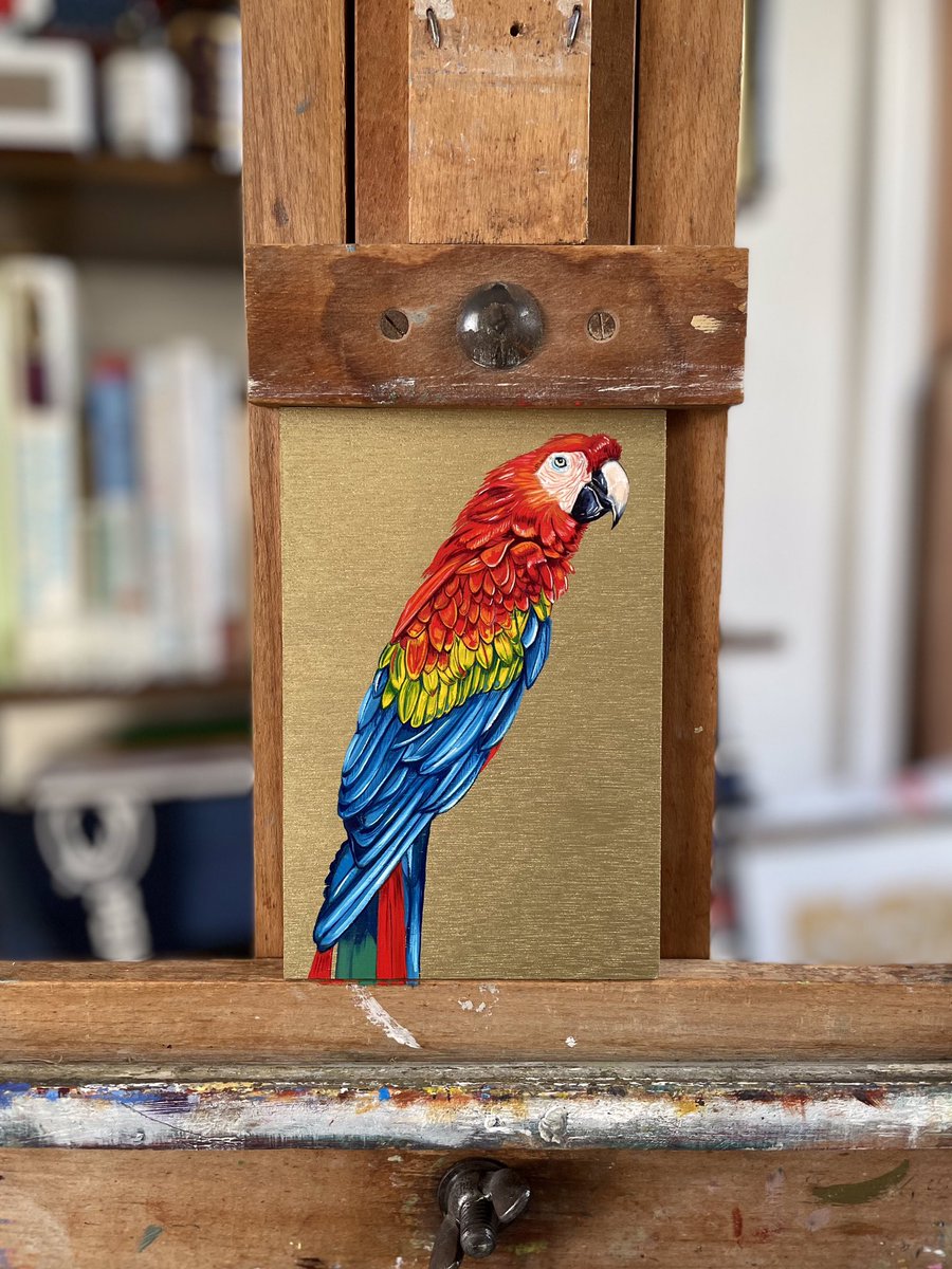 A very tiny postcard-size painting of a Scarlet Macaw. Just finished 💫

15 x 10cm. Oils on wood
