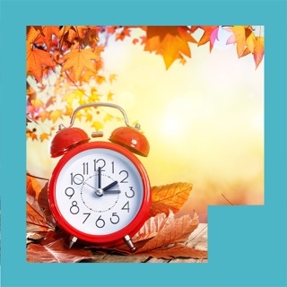 Lake_Square's tweet image. Remember to set your clocks back one hour. Today is the official end of Daylights Savings.
