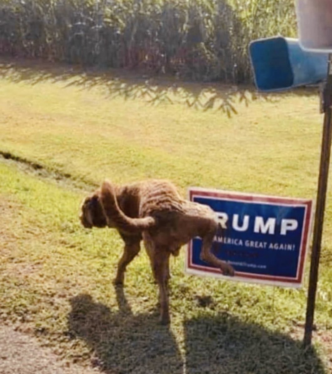 MichaelCohen212's tweet image. 