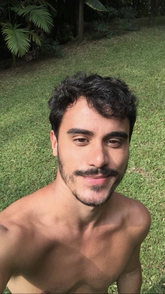 bom dia santa catarina 🌻✨☀️💛💛