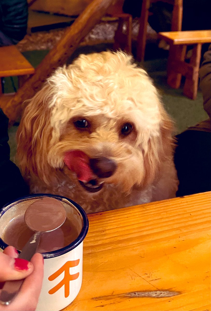 Emckay (@emckay19) on Twitter photo <a href="/joanne_sansome/">Joanne Sansome</a> Hot chocolate with this fella <a href="/finnewoods/">Finnebrogue Woods</a> Joanne! Nice to get outdoors again after all the rain! โบ๏ธ <a href="/joanne_sansome/">Joanne Sansome</a> Hot chocolate with this fella <a href="/finnewoods/">Finnebrogue Woods</a> Joanne! Nice to get outdoors again after all the rain! โบ๏ธ