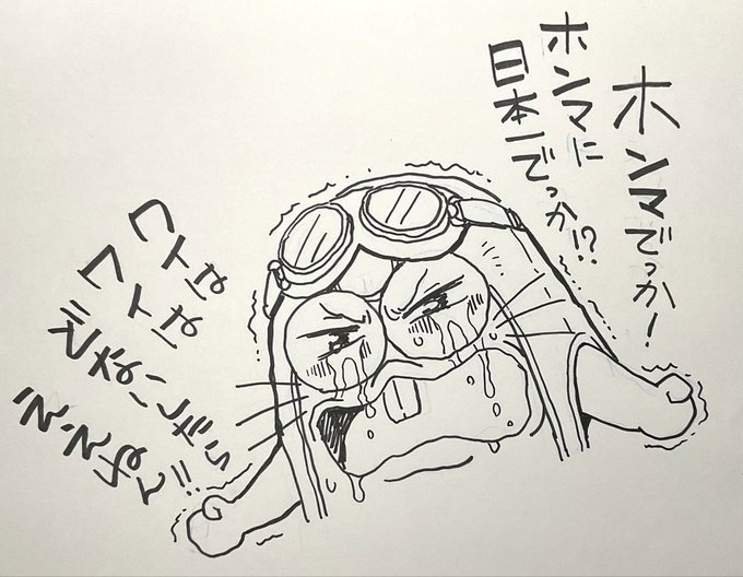 笑えばいいと思うよ。

もうかなり記憶があやふやなバボ。覚えてらっしゃるでしょうか 