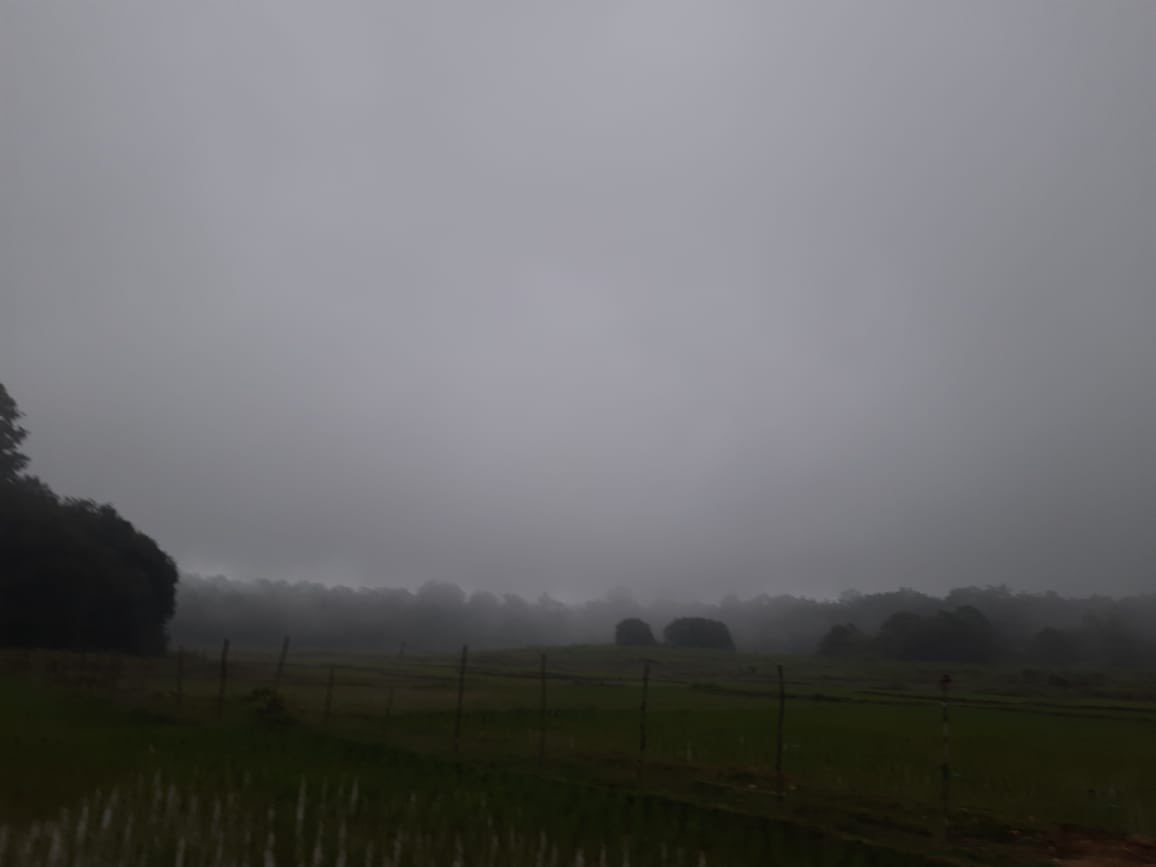 navin_ankampali's tweet photo. #Agumbe
Never ending fog and relentless rains since 5 PM, at the times heavy 🌧️⛈️
Pic by - Vishu Bhat https://t.co/8SK9CxWiI6