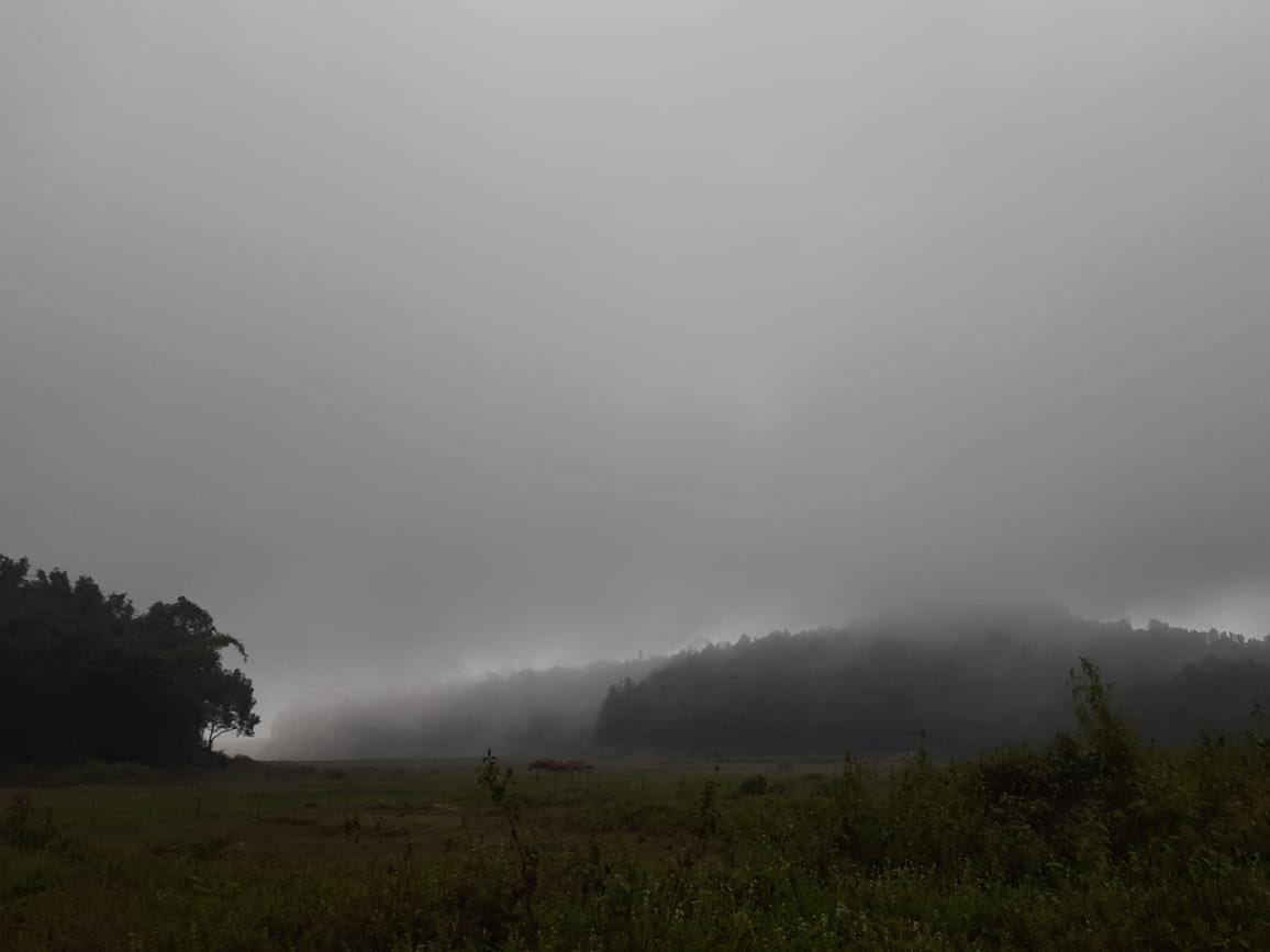 navin_ankampali's tweet photo. #Agumbe
Never ending fog and relentless rains since 5 PM, at the times heavy 🌧️⛈️
Pic by - Vishu Bhat https://t.co/8SK9CxWiI6