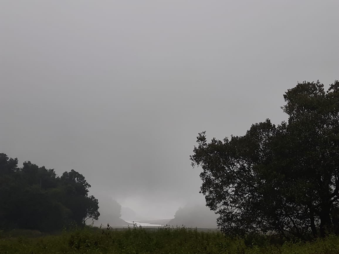 navin_ankampali's tweet photo. #Agumbe
Never ending fog and relentless rains since 5 PM, at the times heavy 🌧️⛈️
Pic by - Vishu Bhat https://t.co/8SK9CxWiI6