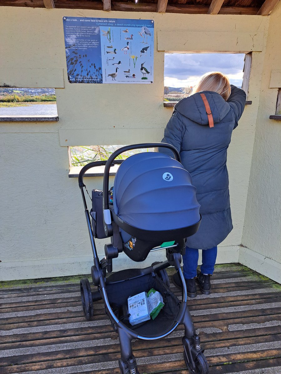 Lovely morning with my wife introducing our son to @RSPBConwy. He wasn't that interested in the goldeneye or greenshank, but I'll let him off...he's only 7 weeks old 👶🤣#StartThemYoung #FutureConservationist

@Natures_Voice 
@RSPBCymru