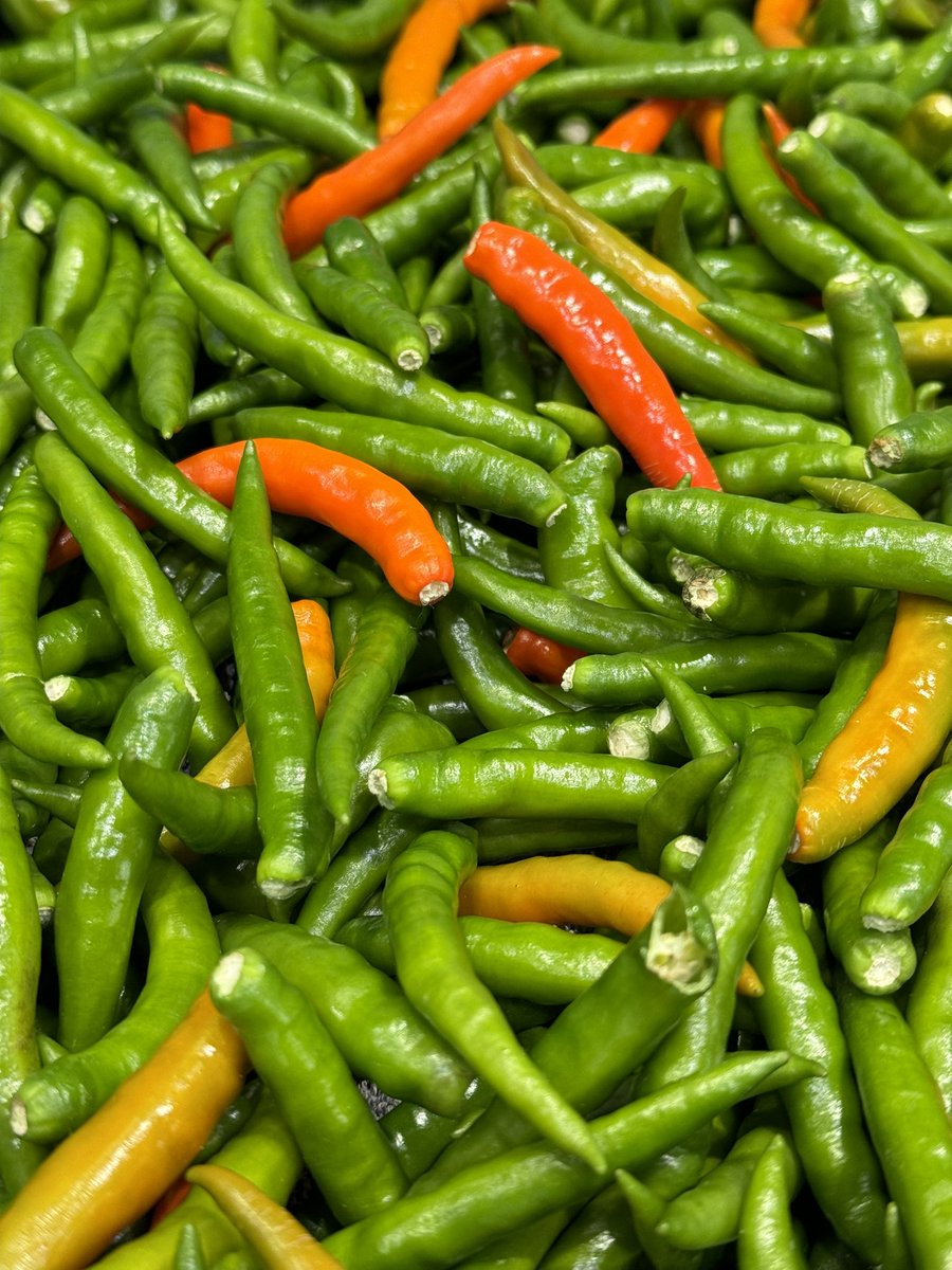 BongosRockNRoll's tweet photo. LOOK at these beauties!
We’re making our annual HOT PICKLED ELF FINGERS today folks! (There’s children crying all over Cheshire as we pretend to recycle their Elf On A shelf!!) Order your jar on our website!
#ElfFingers #buybongos #bongochilli #chillis #christmas #cheshire https://t.co/aaeImrijgH