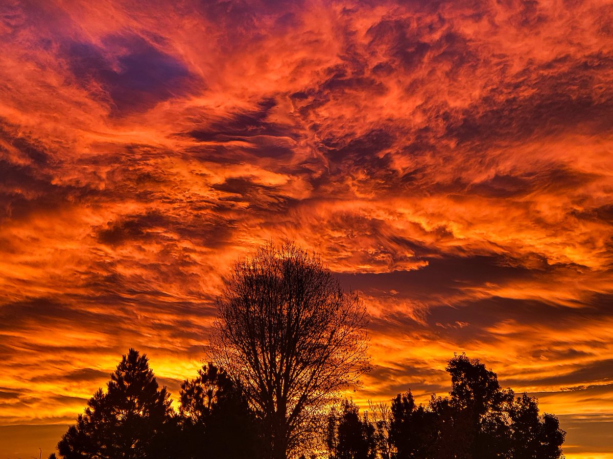 JR Goodwin tweet media