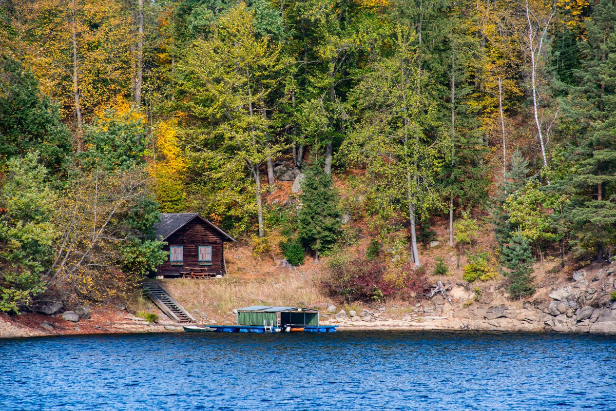 #TwitterNatureCommunity #TwitterNaturePhotography #NaturePhotography #NatureBeauty #Autumn #autumnphotography #autumn2023 
Here are some #AutumnVibes for you - again from Ottenstein Reservoir in Lower Austria.