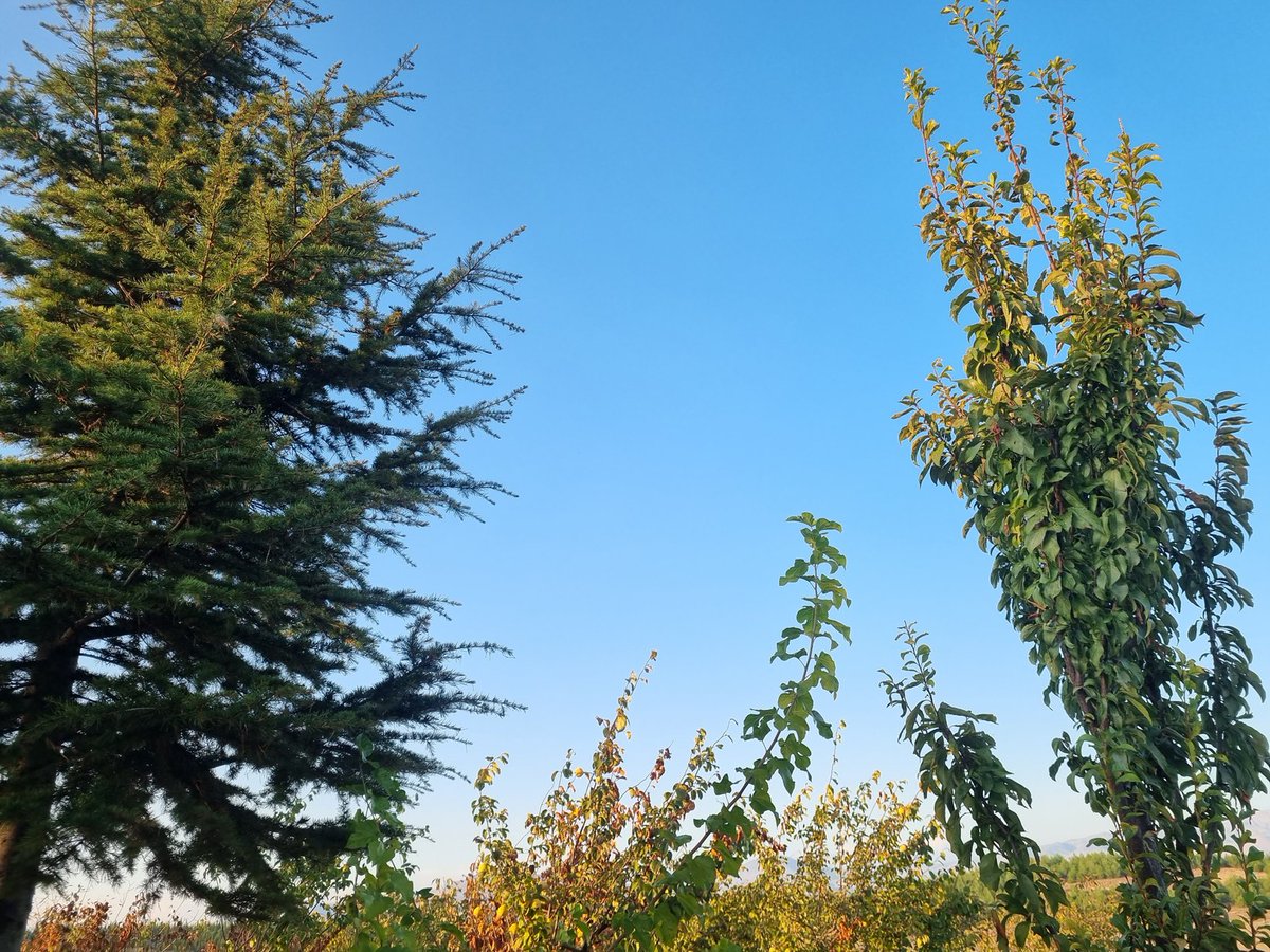 HElinrulin's tweet photo. Eskiden huzur bulduğum yerdeyim... hâlâ huzur verdiğini, gelince fark ettim. İnsan bazı şeyler yüzünden başkasını değil, kendini cezalandırırmış. Şimdi daha iyi anlıyorum... https://t.co/s4D24lVRvd