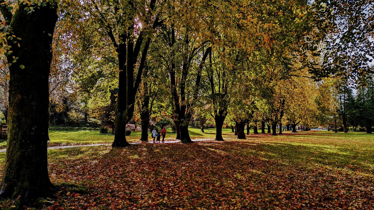 11° now at #betwspark #parcybetws #ybydybetws @@Discovercarms @visitwales. #autumnvibes here now @S4Ctywydd @BBCWthrWatchers @Sue_Charles @OwainWynEvans @DerekTheWeather @carolkirkwood @SianWeather #parklife #natur #nature #biodiversity #localplacesfornature @HeritageFundCYM