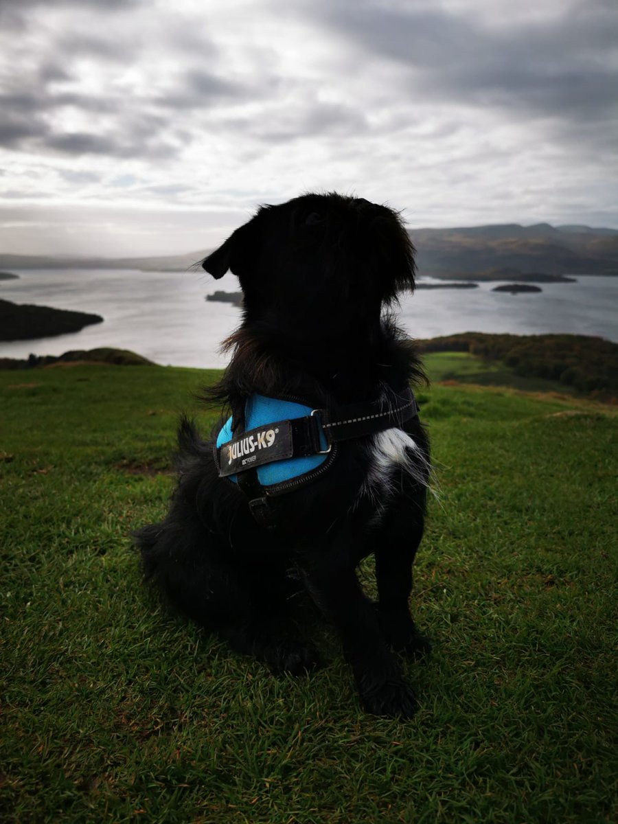 Nothing more therapeutic than the hills of Scotland with good company and my boy 🐾🩵 #MentalHealthAwareness #Domoreofwhatmakesyouhappy #taketimeforyou