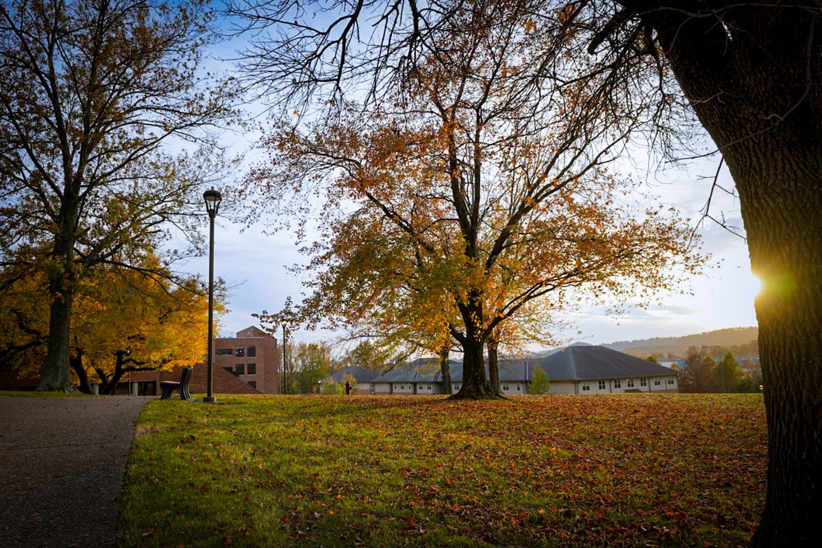 Joe Glover tweet media