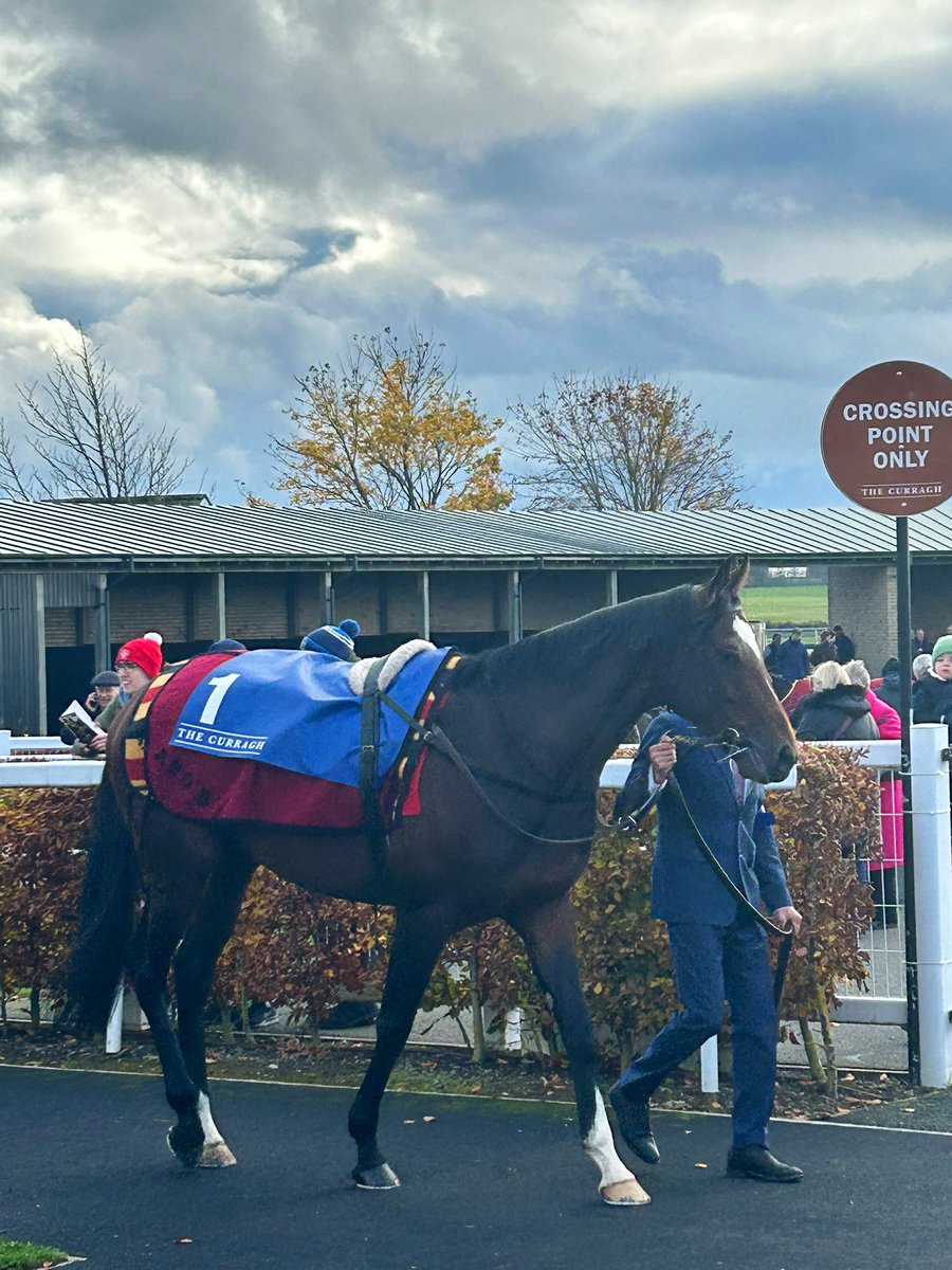 Dawnesme's tweet photo. Here’s Marty 🥰

#martinstown https://t.co/mxDsU6ZPFp