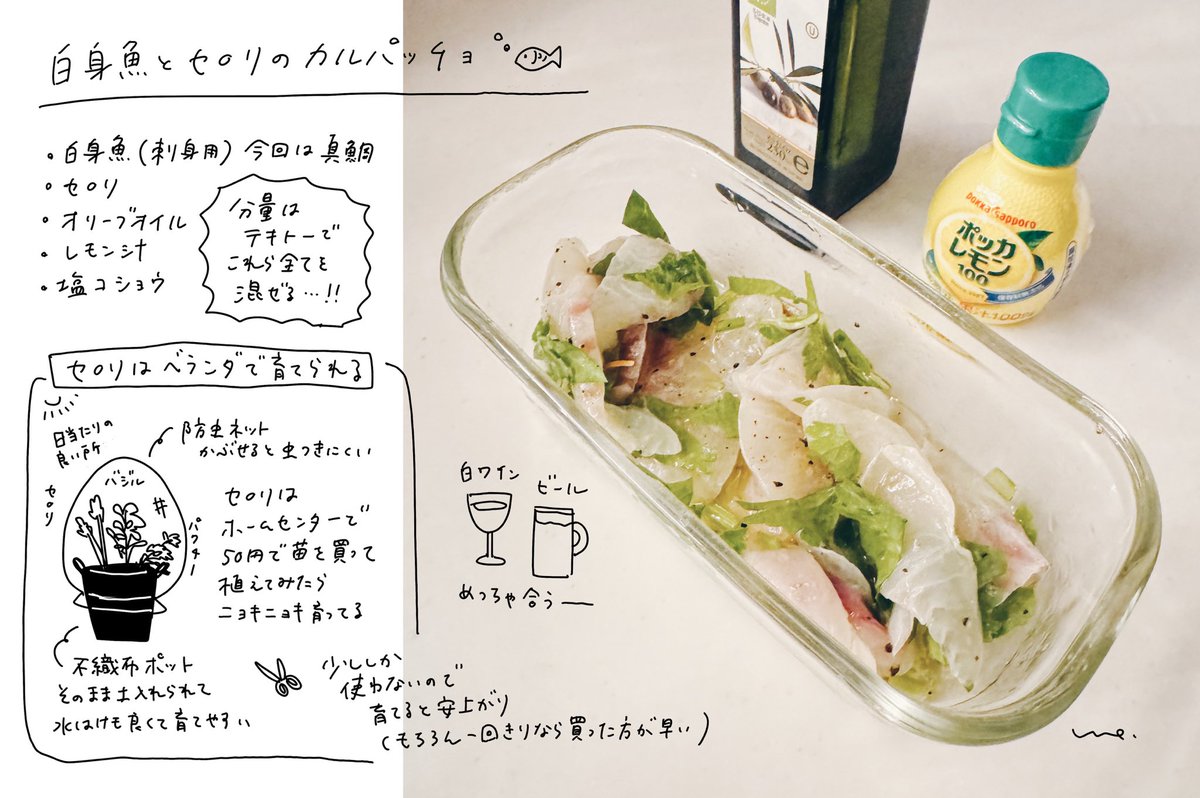 白身魚とセロリのカルパッチョ

簡単で美味しくて何度も作ってるおつまみ。材料適当に混ぜるだけでさっぱり美味しいヘルシーなおつまみが爆誕!
セロリはベランダでも育てられるということを知ってから、育てるのも楽しみの一つに。 