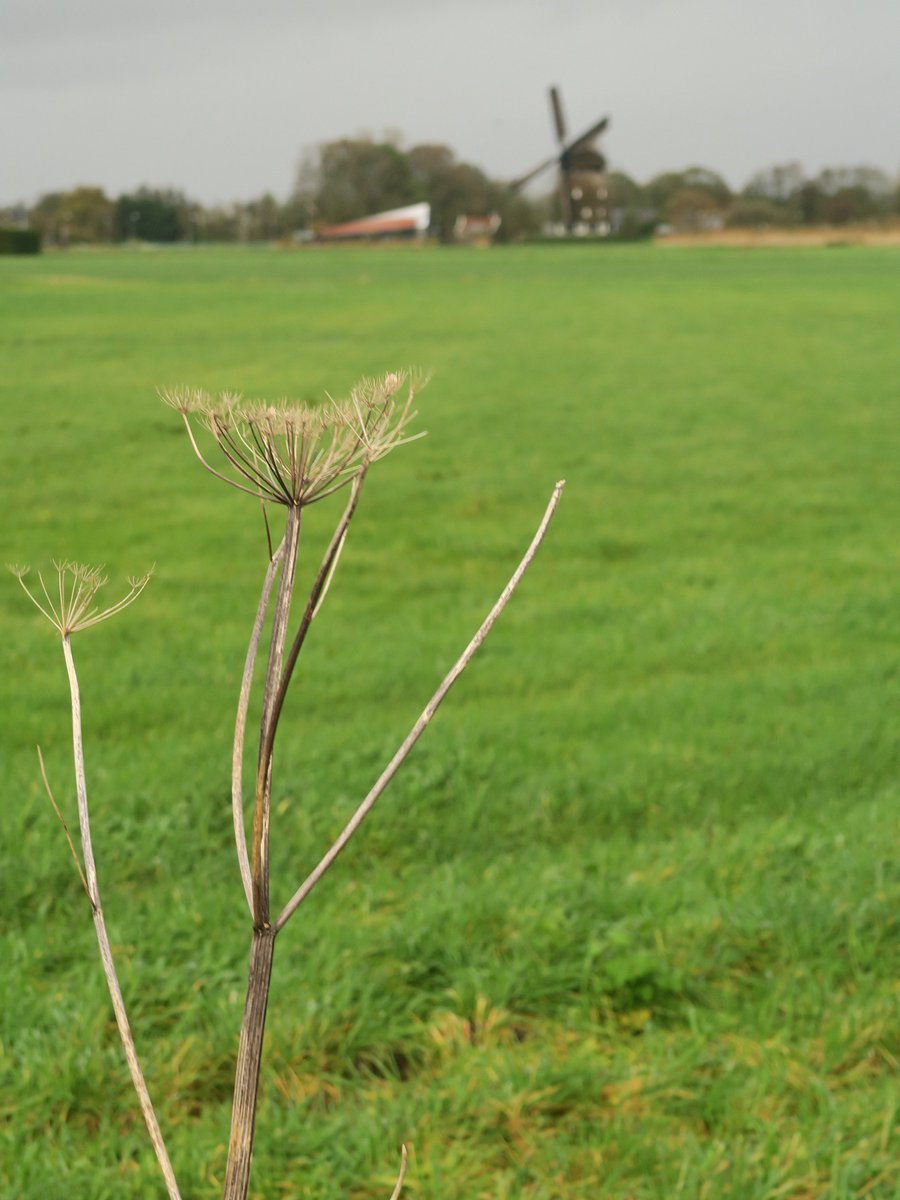 Rondje bij St. Pancras 2
