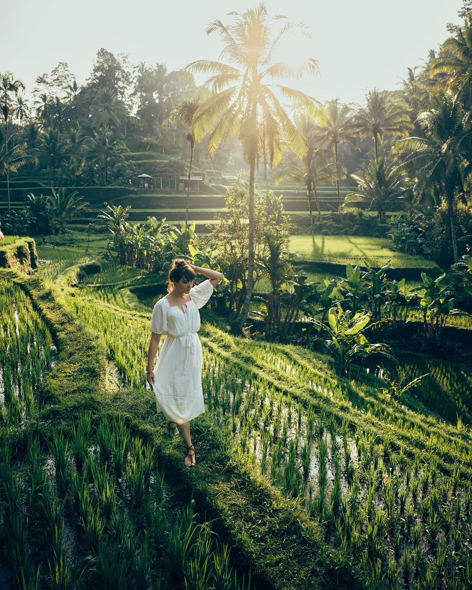 Nestled amid Bali's lush landscapes, the rice terraces stand as testaments to centuries-old farming practices. These intricate plots, sculpted into the hillsides, utilize a traditional irrigation system known as 'subak'. Originating from the sacred Batukaru Mountain's waters, it