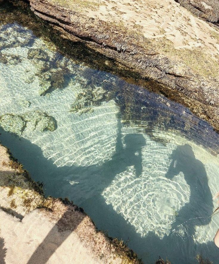 softdeIicacy's tweet image. magicals waters.