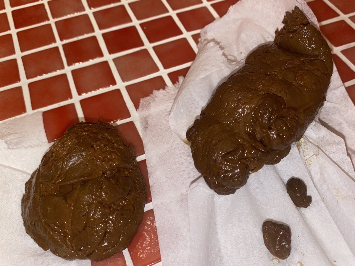 硬い糞が尻肉を押しのけて出てくる感覚に興奮しました🍑