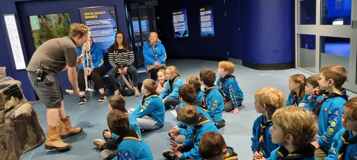 1stwillowbeaver's tweet photo. Thank you @World_Museum for a fantastic day. Ben's Brilliant Bugs workshop was fascinating. Thank you also @merseyrail for our tickets and providing a super smooth journey 😊 https://t.co/MX5ulhNO73