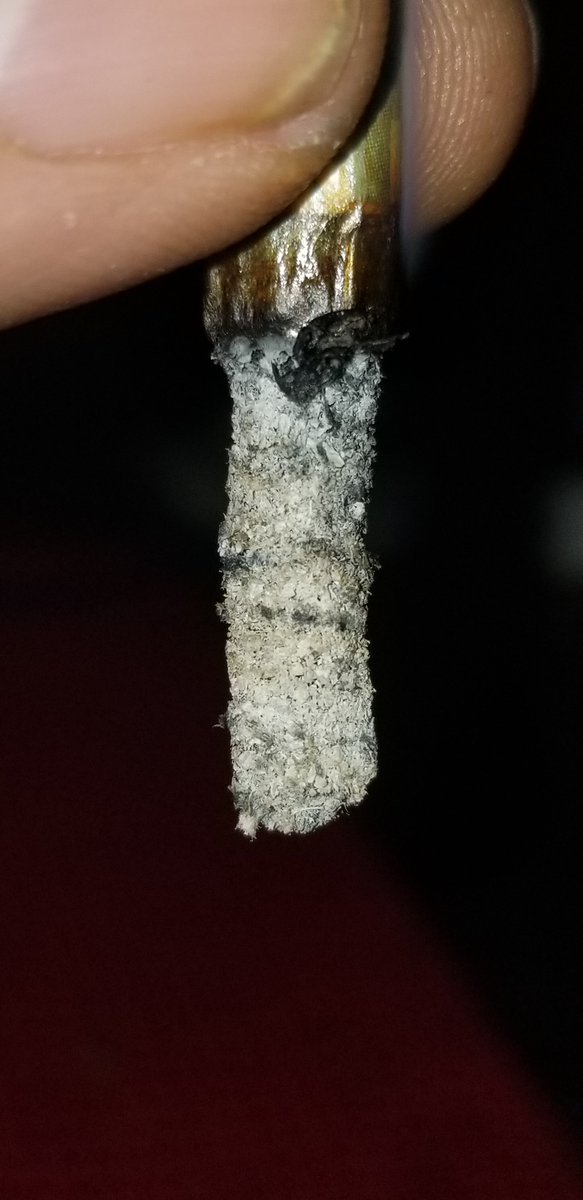 TravTha's tweet photo. @koalapuffss Happy Sunday 💚🙌💨💨 Puffin One Right Now !!
White Ash 2 The Very End 😊🤙💨💨 https://t.co/4MSYa5ceVj