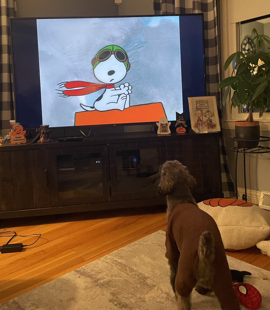 ChewieCook's tweet photo. I want a Sopwith Camel.

@Snoopy https://t.co/mLnErisCfU