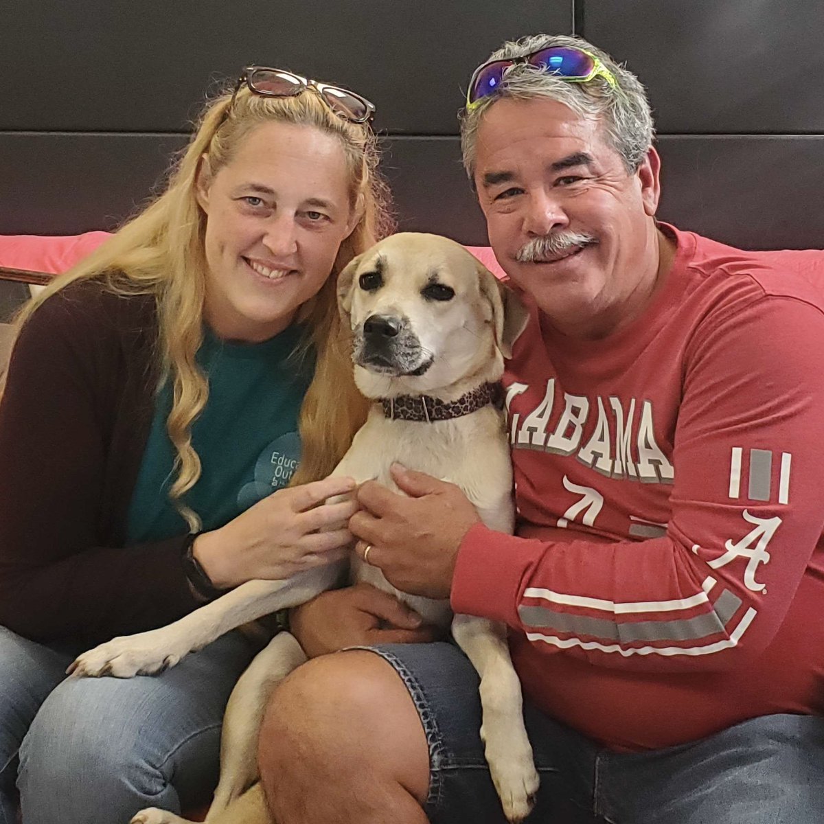 GHHSPets's tweet photo. Adorable photos of our pets and their FURever families 💙 https://t.co/lDUYoYS45F