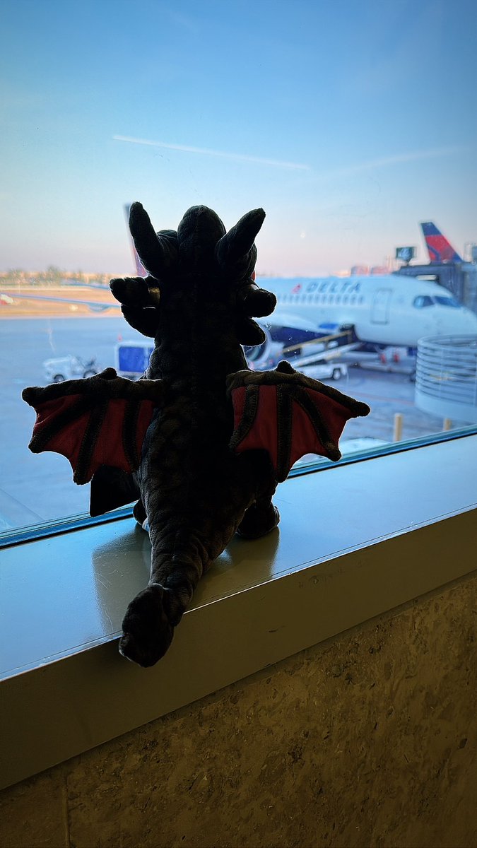 Little Wrathion flying <a href="/Delta/">Delta</a> home from #blizzcon2023
