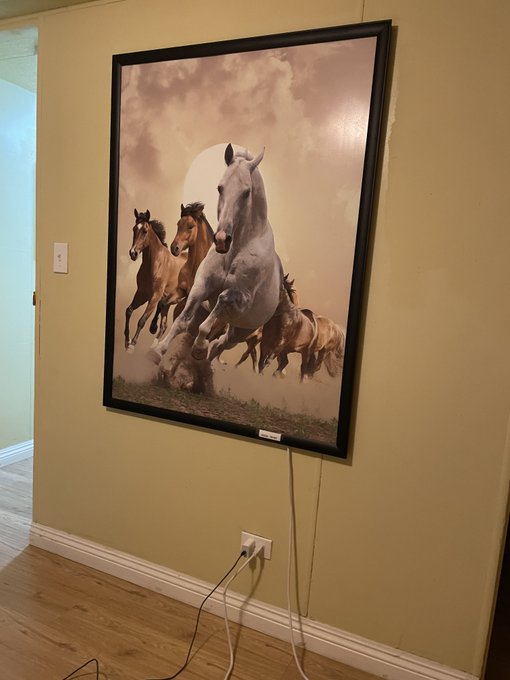 airbnbs are fucking hilarious. the only way I can heat up this house is by flipping a switch on this