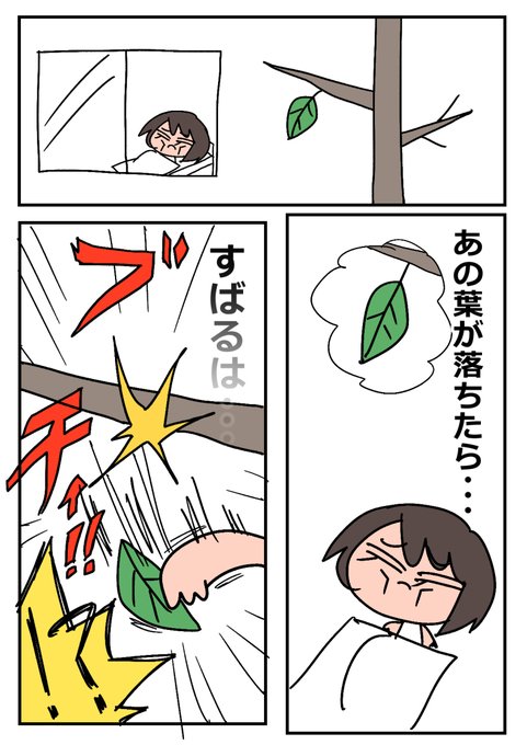 #プロテインザスバル ・葉っぱ 1/2